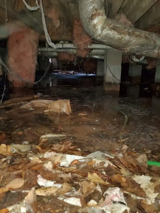 Crawl space flood assessment for Commercial Water Damage Restoration in Aspen Hill